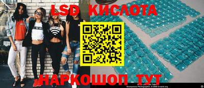 стафф Будённовск