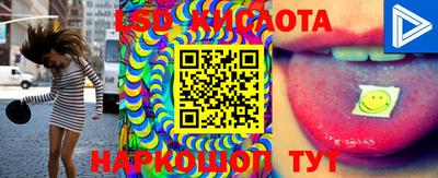 стафф Будённовск