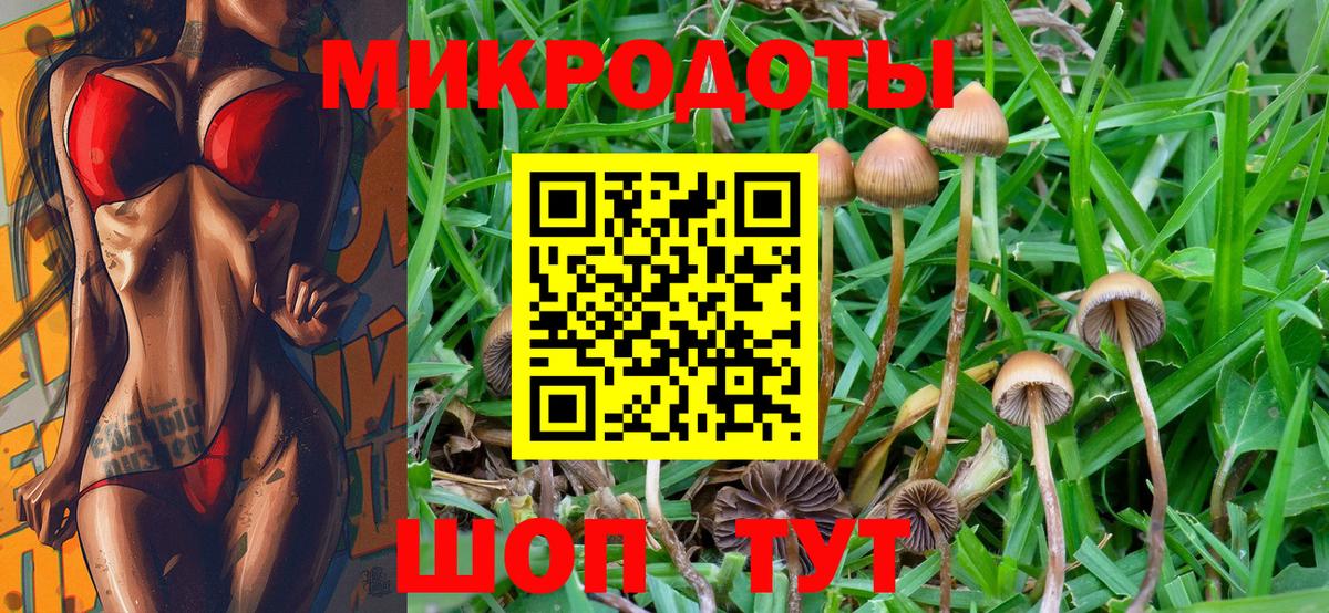 Новомосковск  Галлюциногенные грибы мицелий  Вход с VPN 